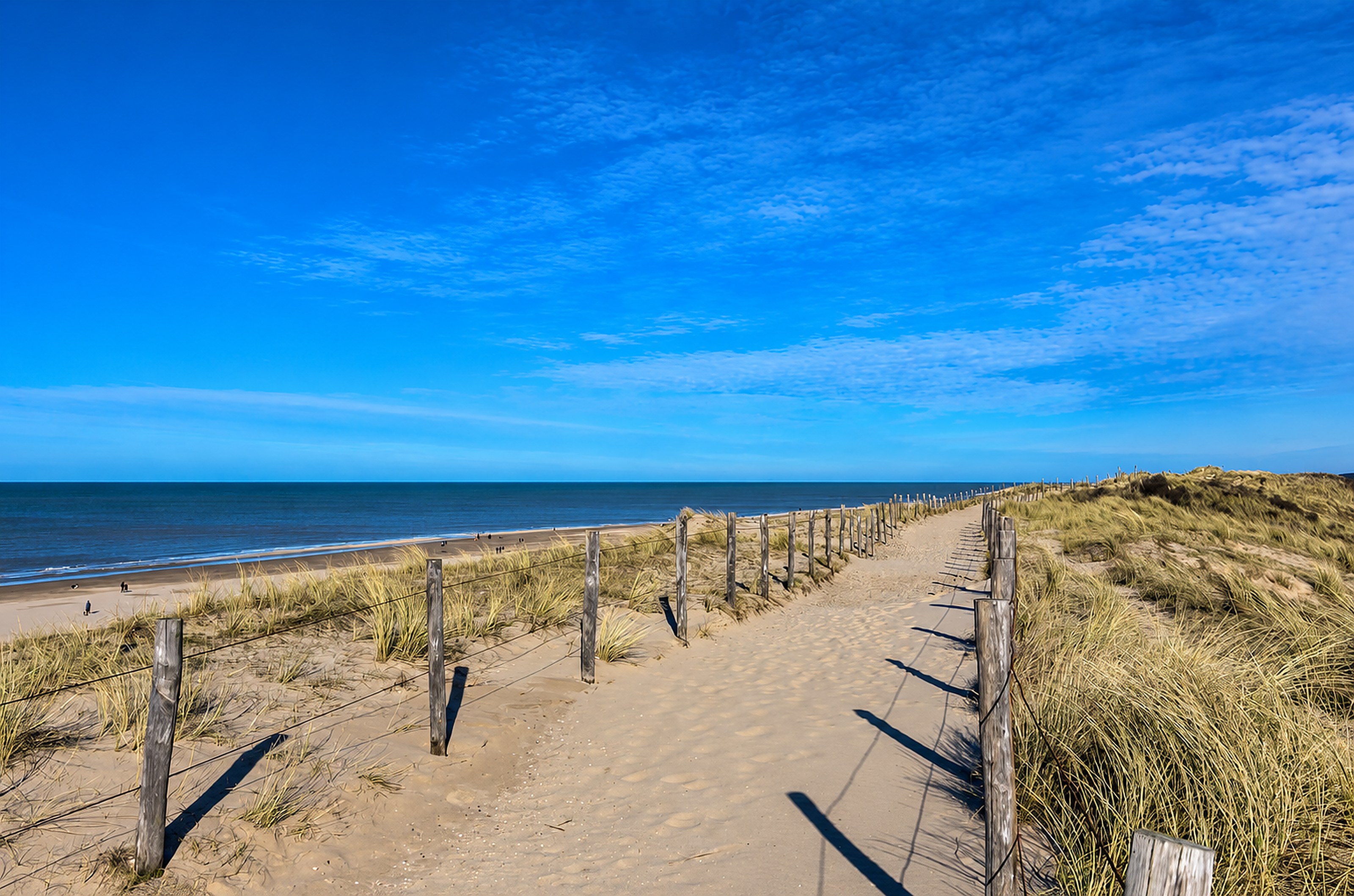 Dünen und Strand bei Egmond aan Zee