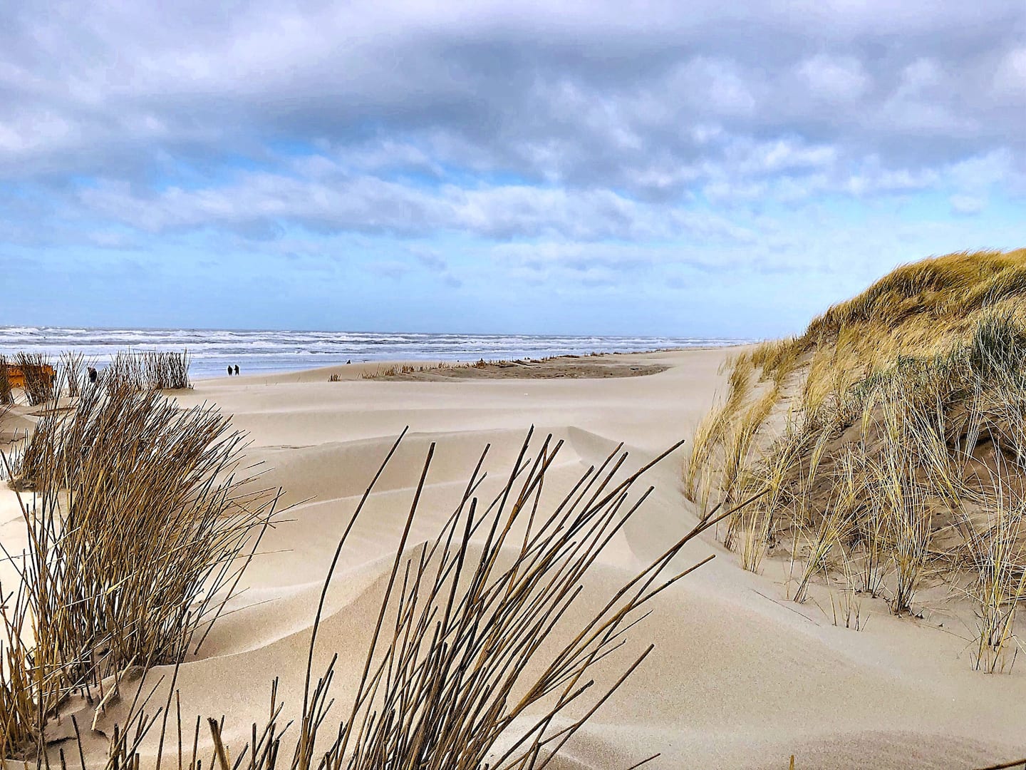 Duinpad naar het strand